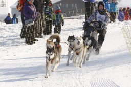 Lenk 2012 SM